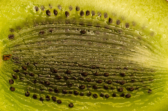 Longitutinal cut of a kiwi.
