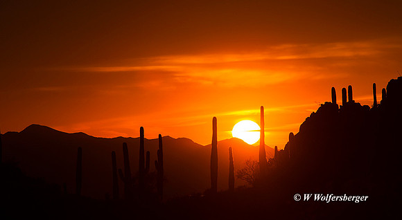 Sunset Saguaro NP