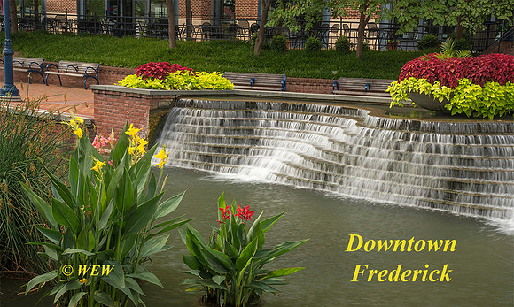 Carroll Creed, Frederick