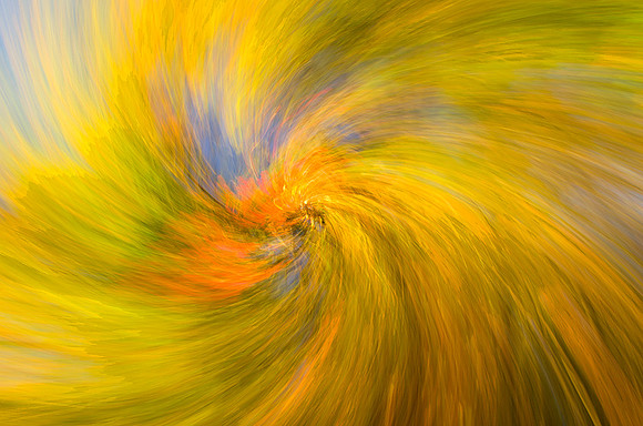 Twist and zoom as the camera was pointed toward the trees on a sunny mid afternoon in Autumn.