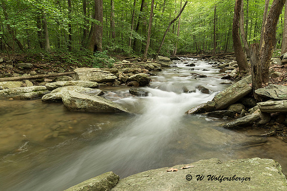 Cascading Mountain Stream
