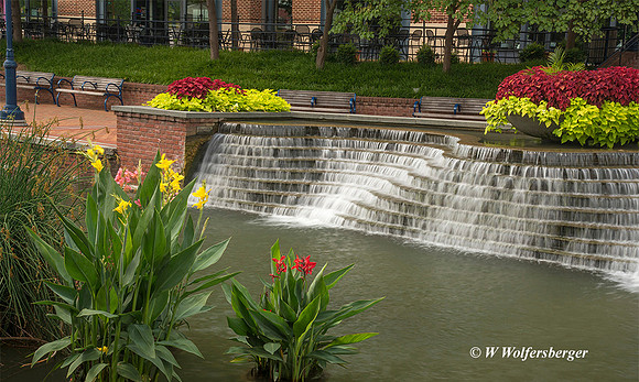 Carroll Creek Near Libarary