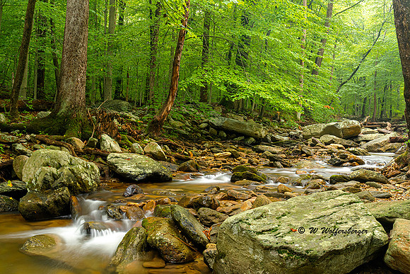 Little Hunting Creek
