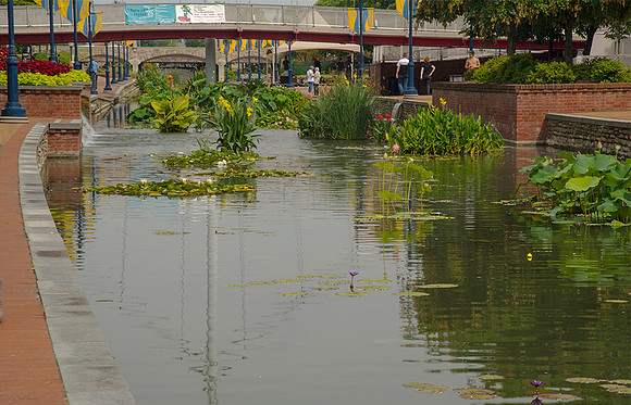 Carroll Creek by Market Street