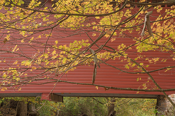 Roddy Road Covered Bridge Side