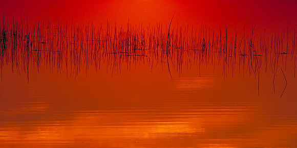 Reflections at Gull Point, Yellowstone Lake