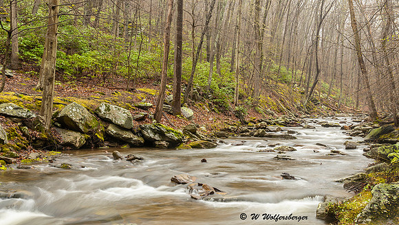 Little Hunting Creek & Laurel