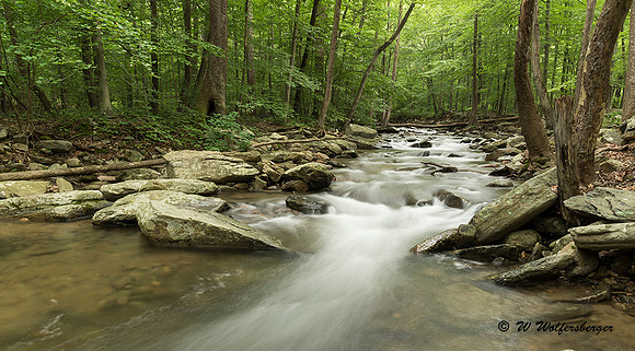 Cascading Mountain Stream Crop