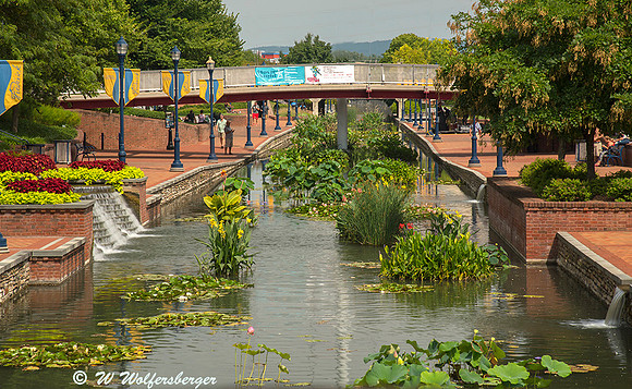 Carroll Creek From Bridge