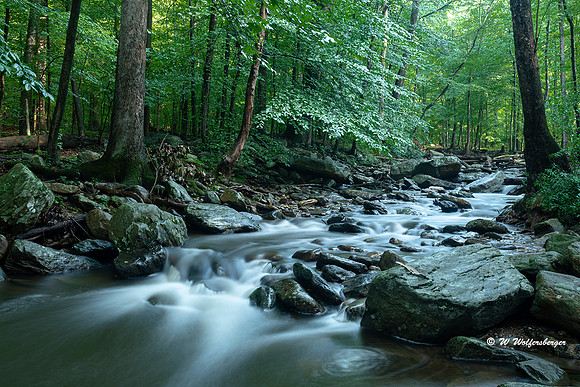 Dawn at Little Hunting Creek