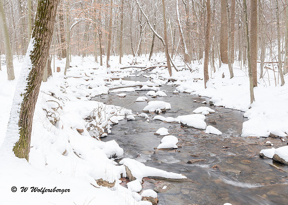 Hunting Creek - Winter