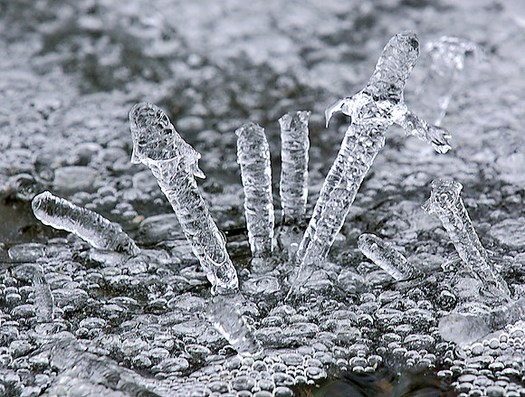Ice crystals on wet grass.