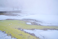 Thermophile Bacteria create a variety of colors. Colors are species dependent.
