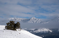 Lamar Valley below.