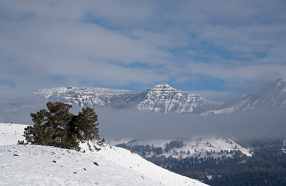 Lamar Valley below.