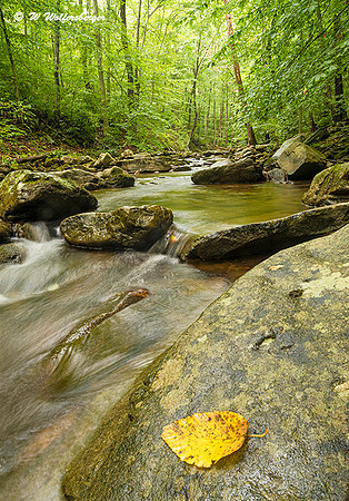 Cascades at Little Hunting Creek